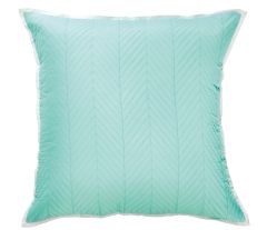 Bianca Vivid Coordinates Mint Quilted European Pillowcase